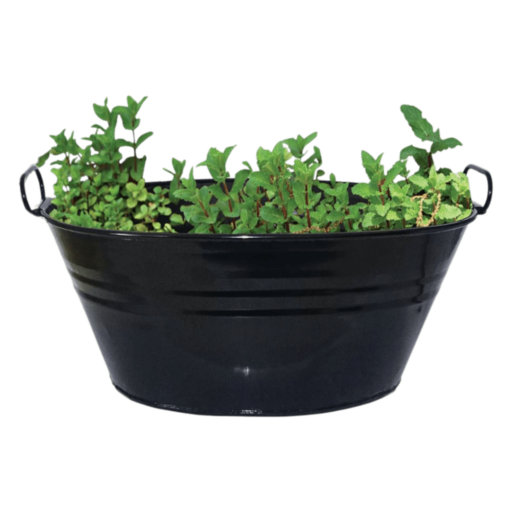 Powder Coated bath with plants